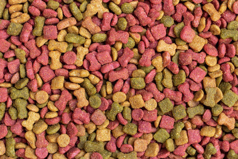 Mangimi animali