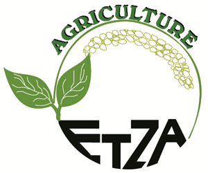 ETZA AGRICULTURE