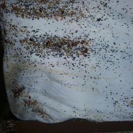 White surface heavily speckled with brown mold or dirt stains, with a darker strip along the bottom edge