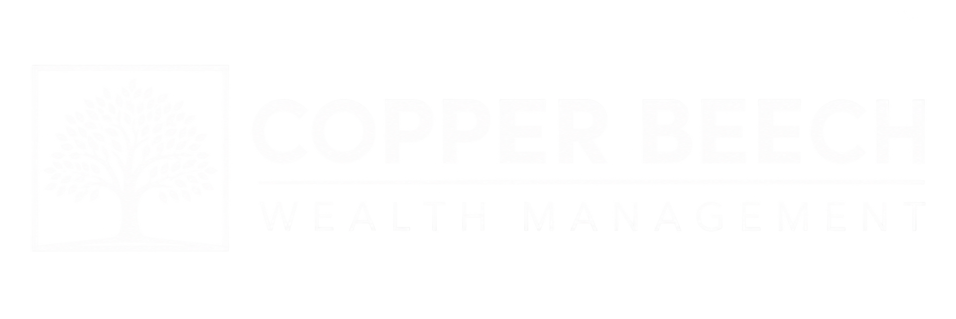 Faint white text on a white background, barely visible.