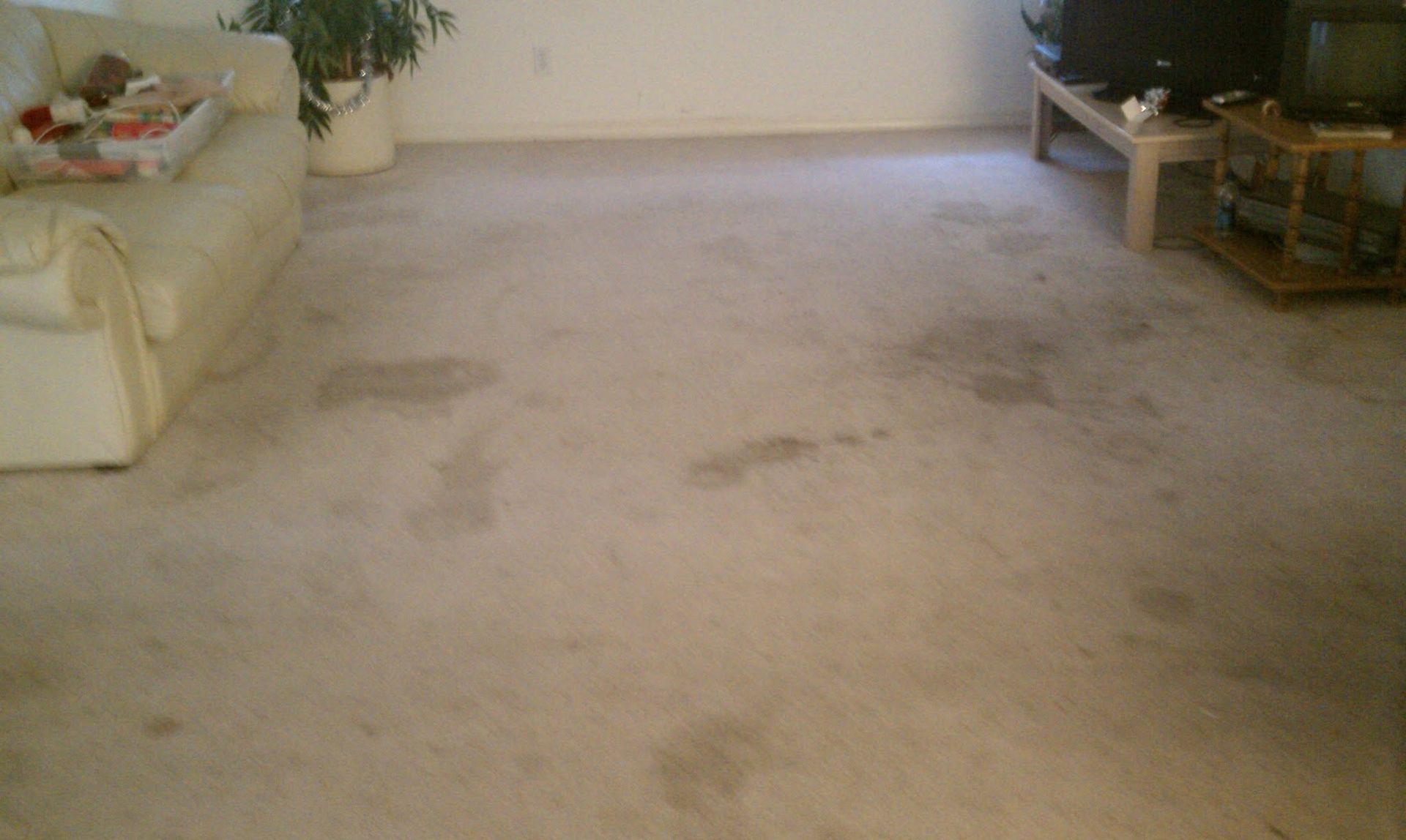 Sparse living room with beige carpet, white sofa on the left, and small tables on the right.