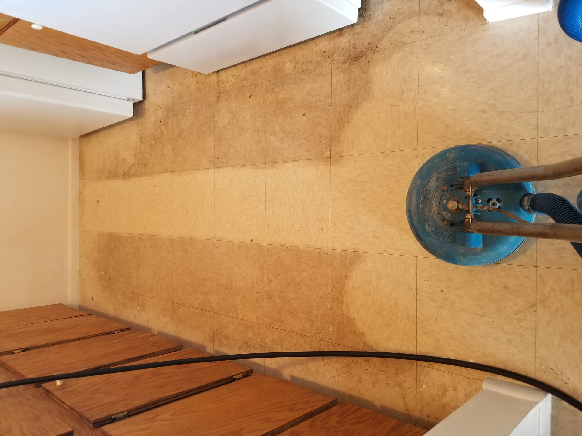 Blue vacuum cleaning a tan carpeted staircase from above