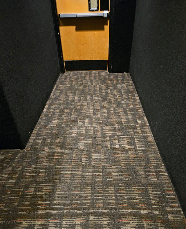 Narrow carpeted hallway leading to a wooden door with a metal push bar.