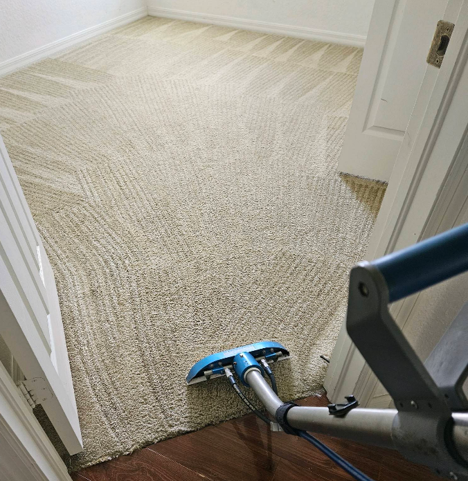 Blue carpet cleaner in a doorway cleaning beige carpet in a room