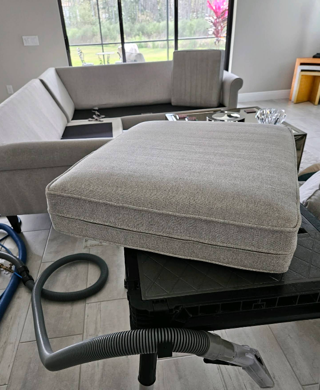 Gray cushion on a black vacuum cleaner in a bright living room with a gray sectional sofa.