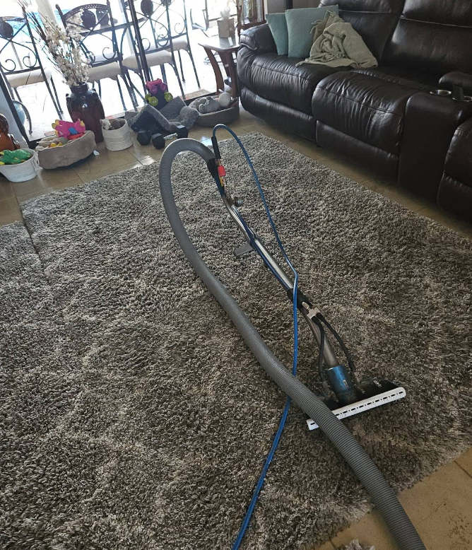 Vacuum cleaner on a gray rug in a living room beside a black leather couch and plants.
