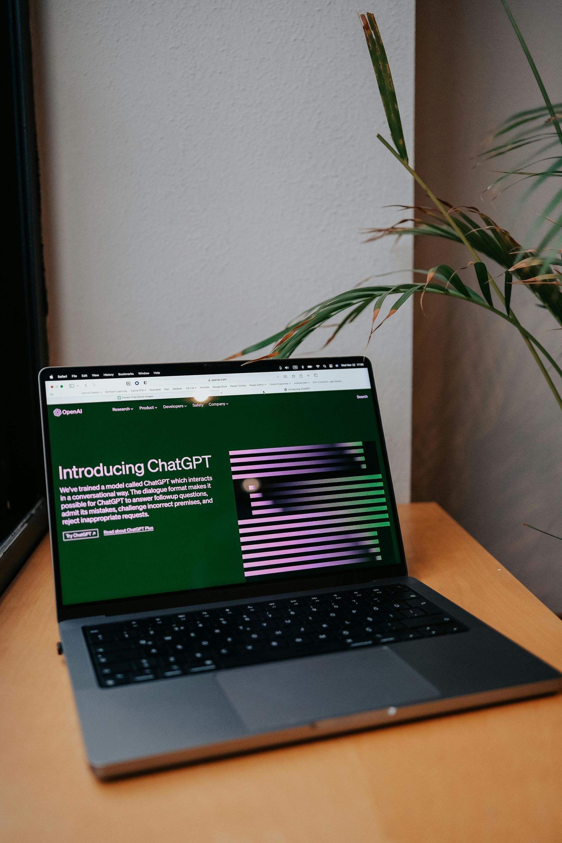finance on a laptop