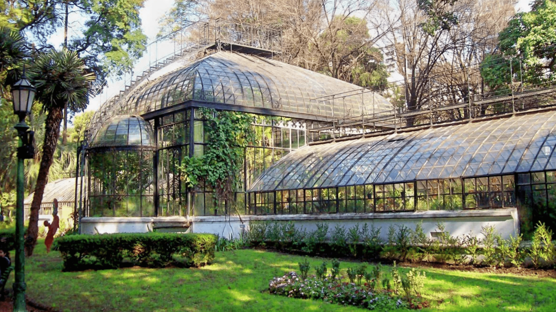 Un gran invernadero en un parque con árboles al fondo.
