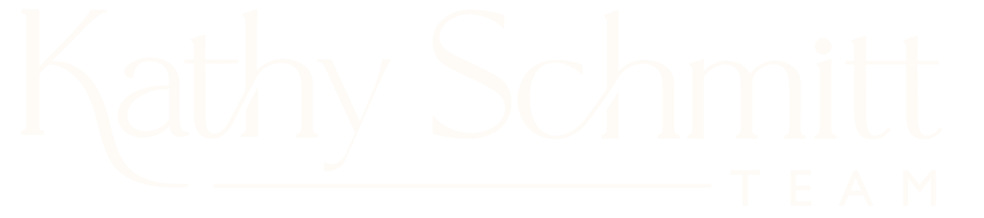 Schmitt Realty Team