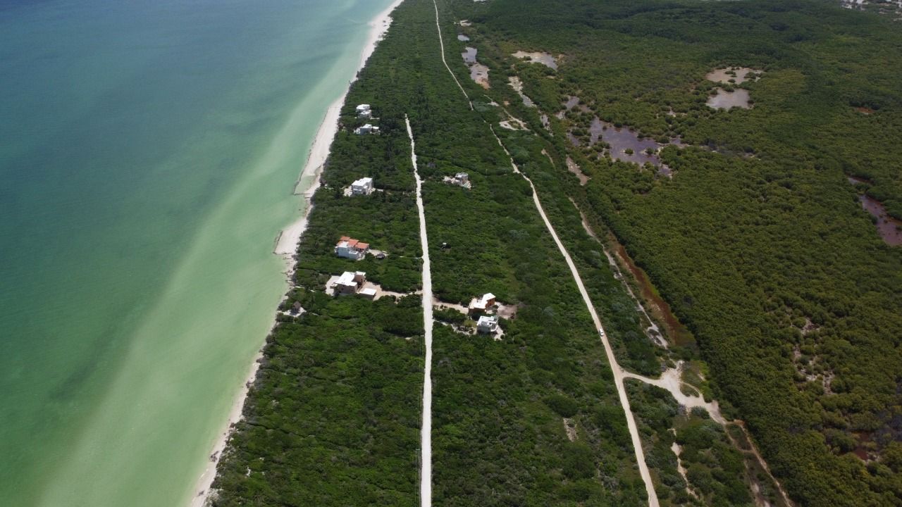 Vista aérea de un camino costero junto a un bosque verde y aguas turquesas, con pequeñas casas a lo largo de la costa.