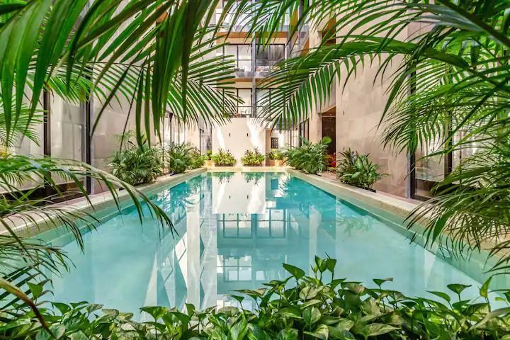 Piscina interior en el patio con agua turquesa, enmarcada por hojas de palmera y rodeada de paredes blancas y vegetación.