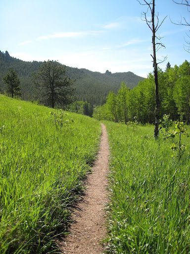 Narrow dirt trail through a green meadow with trees and hills under a blue sky