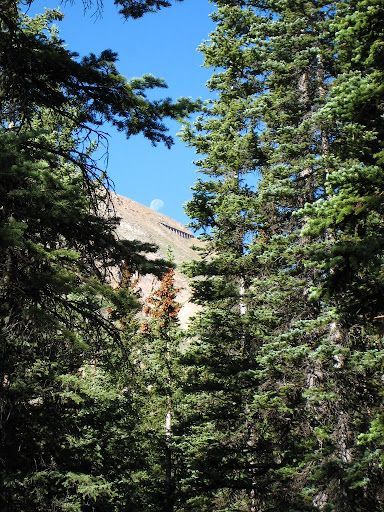 Tall evergreen trees framing a tan mountain roof against a bright blue sky