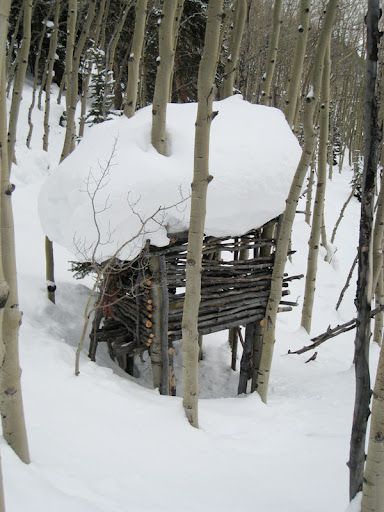 Snow-covered wooden hut in a forest, surrounded by tall bare trees