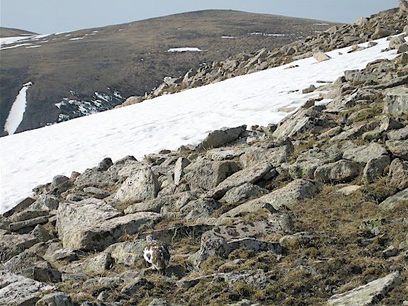 Rocky mountain slope with patchy snow and brown hills under a clear sky