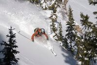 Skier in orange jacket carving through deep snow between pine trees