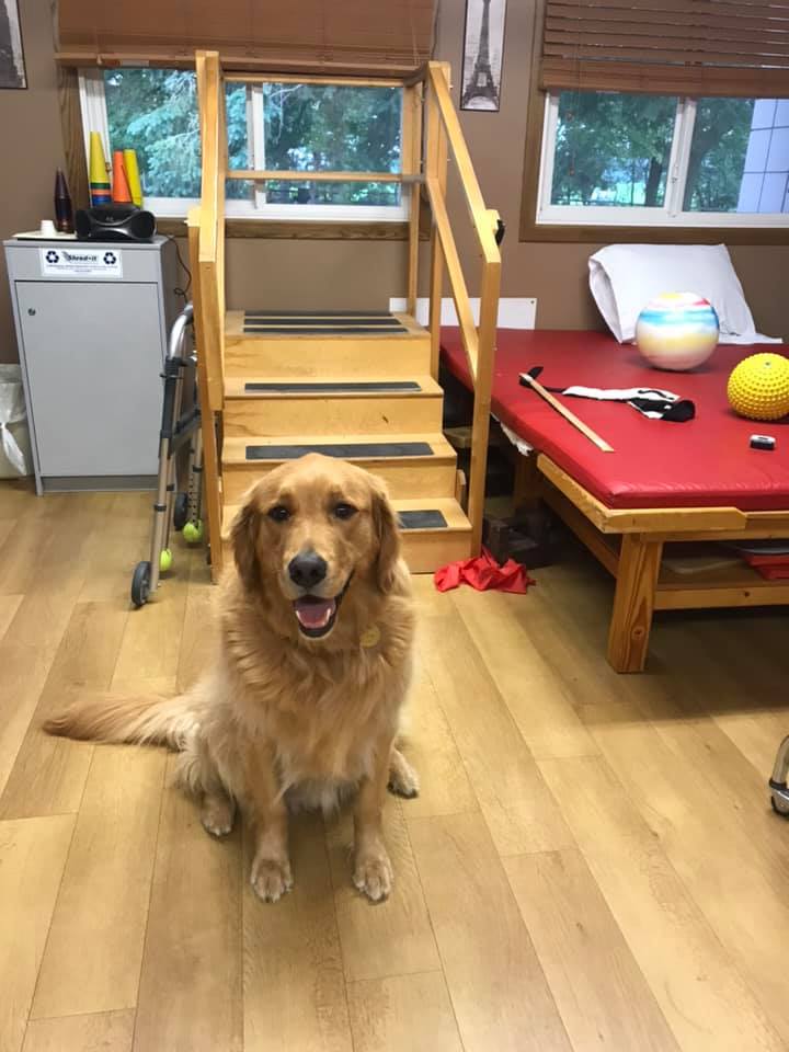 Media Gallery Colonial Health and Rehabilitation of Colby
