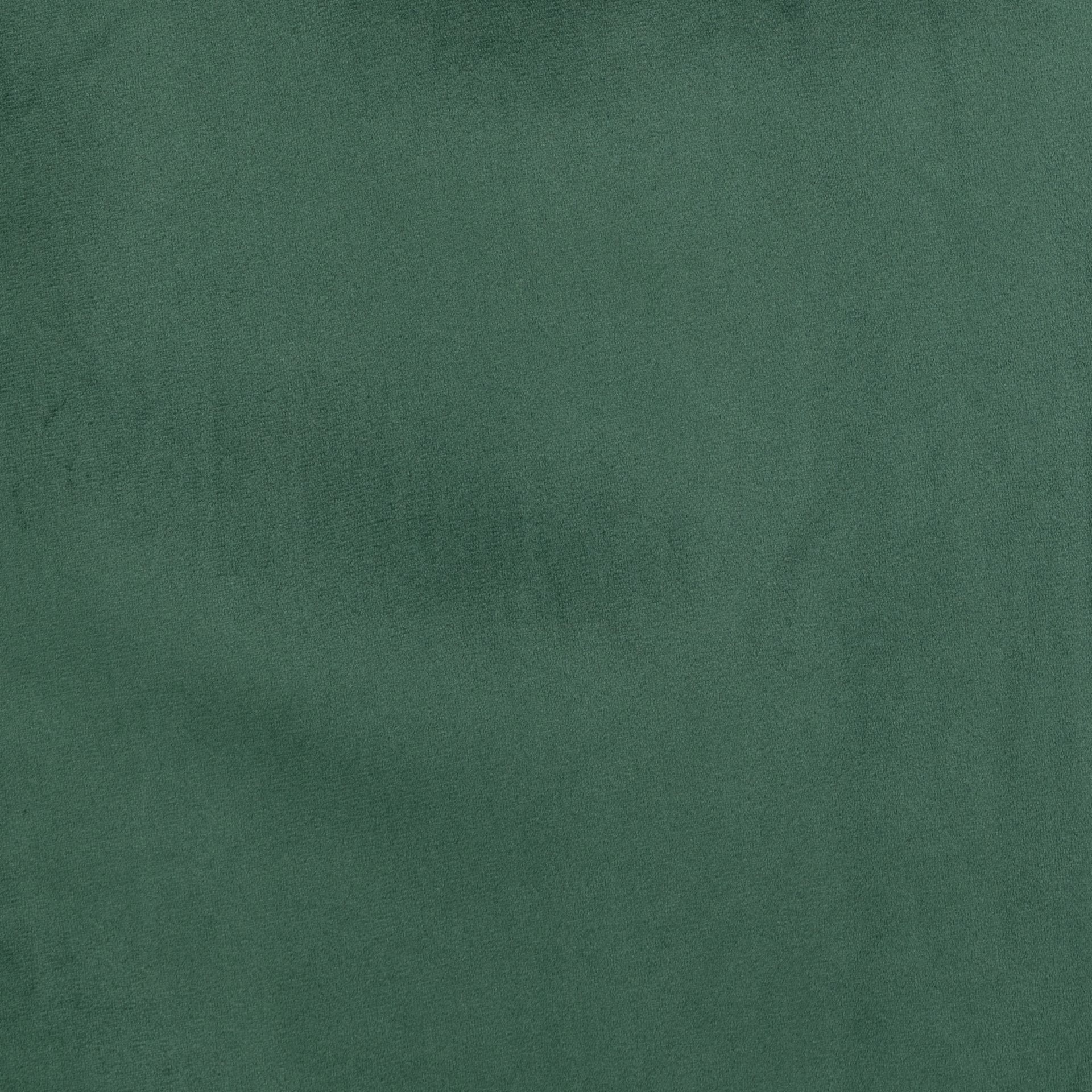 Forest Green Suede