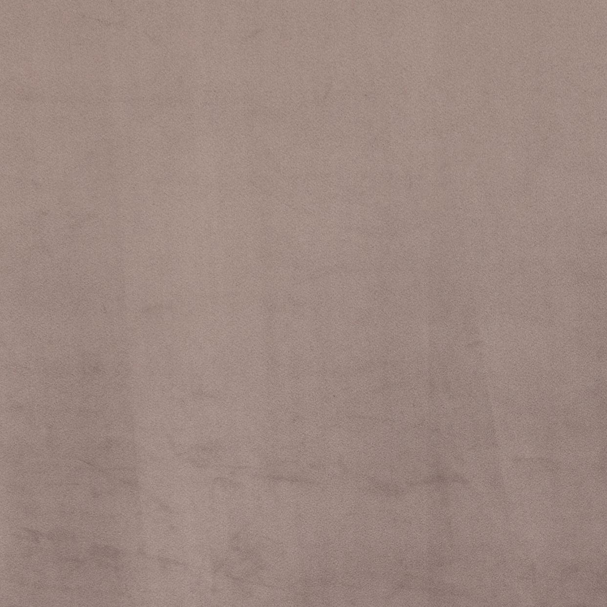 Taupe Harmony