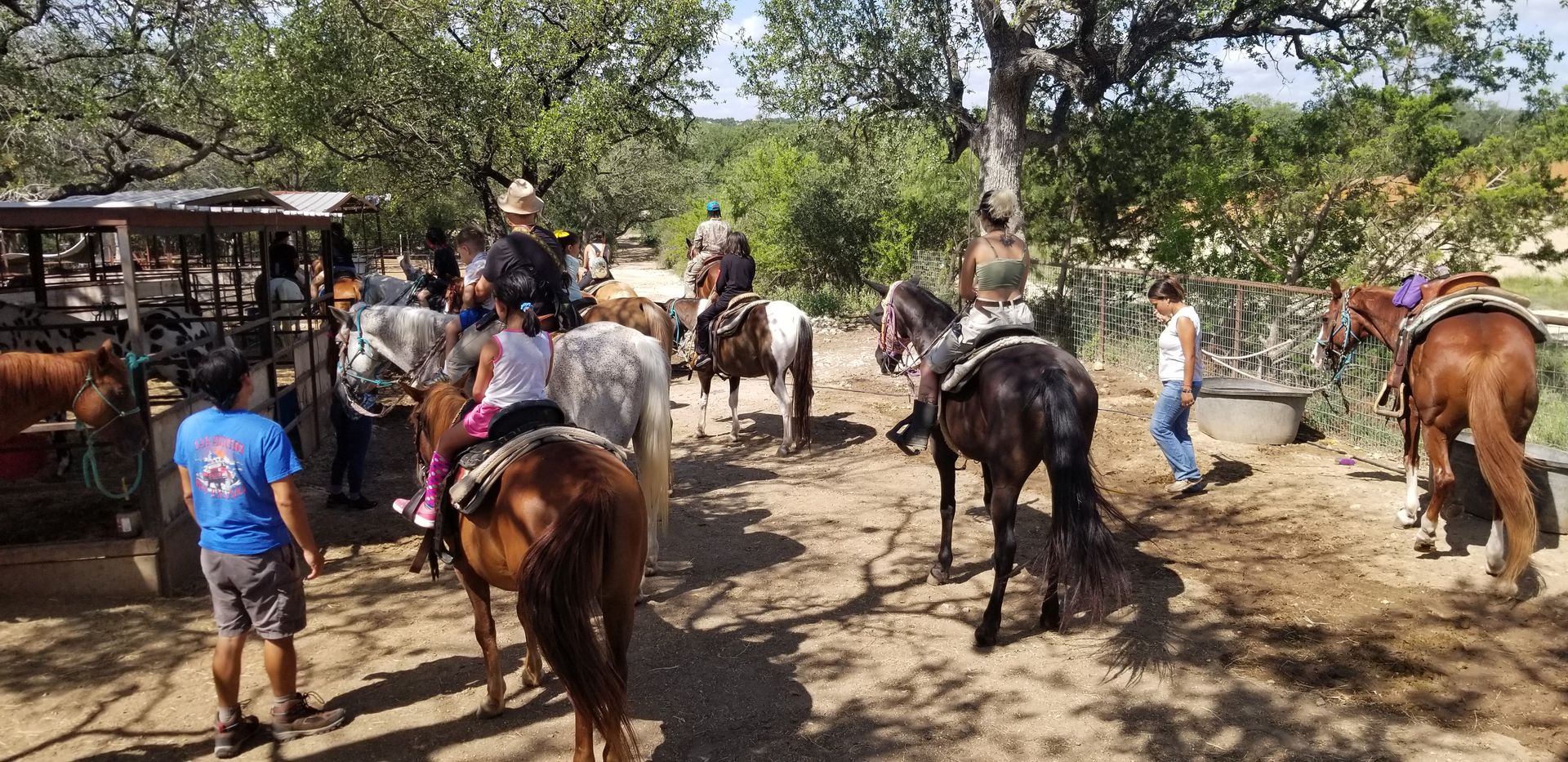 People riding horses at an outdoor stable, under trees, sunny day.