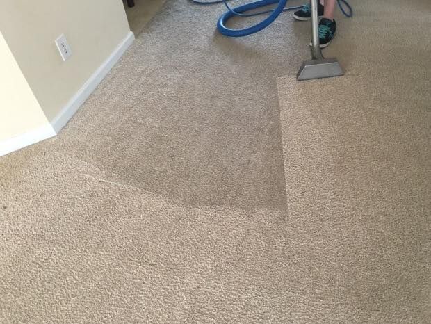 Carpeted room with a darker cleaned patch, blue hose, and a floor-cleaning machine near the wall