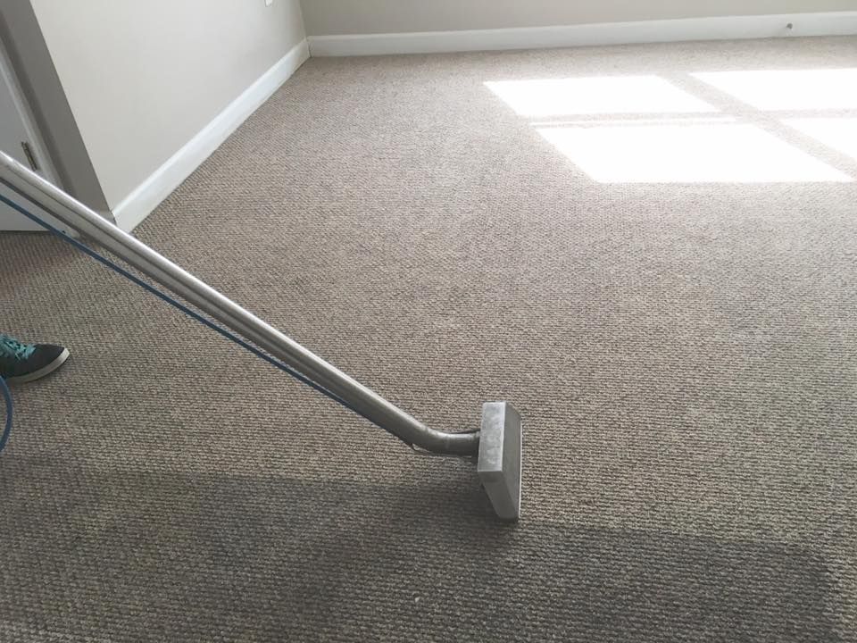 Carpeted room with bright sunlight and a floor vacuum head on the left side