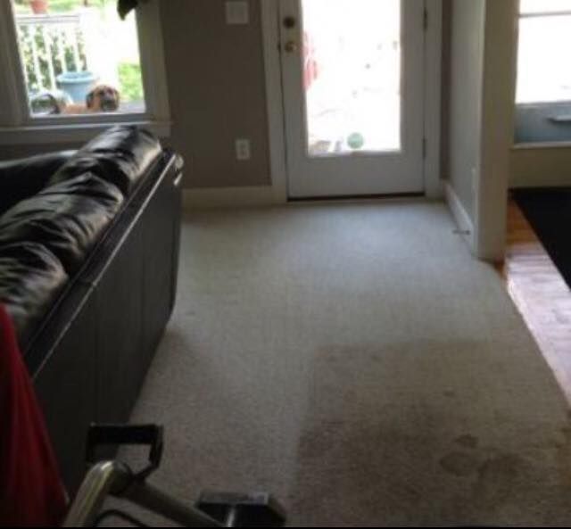 Living room with black sofa, carpet, and glass door leading outside.