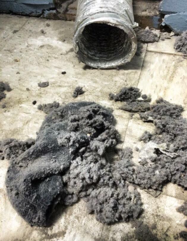 Gray sludge piled on a concrete floor beside a corrugated drainage pipe.