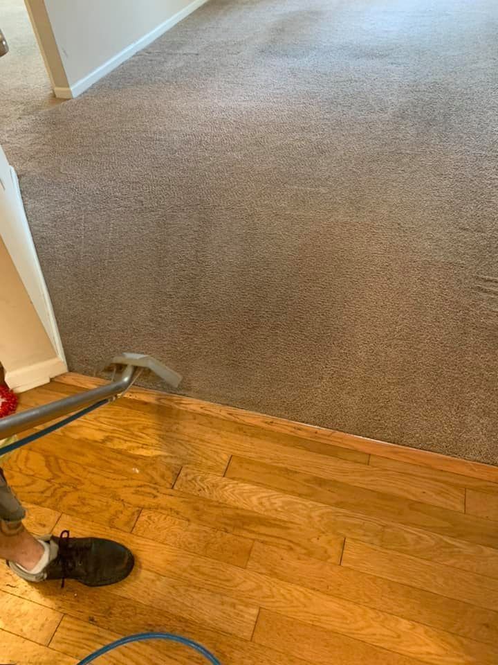 A person using a carpet stretcher at the edge of a room with wood flooring and gray carpet.