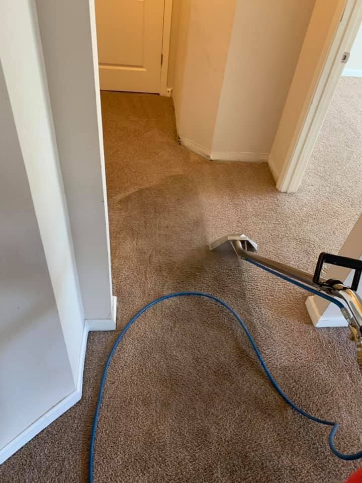 Carpeted hallway being cleaned with a floor scrubber and blue hose.