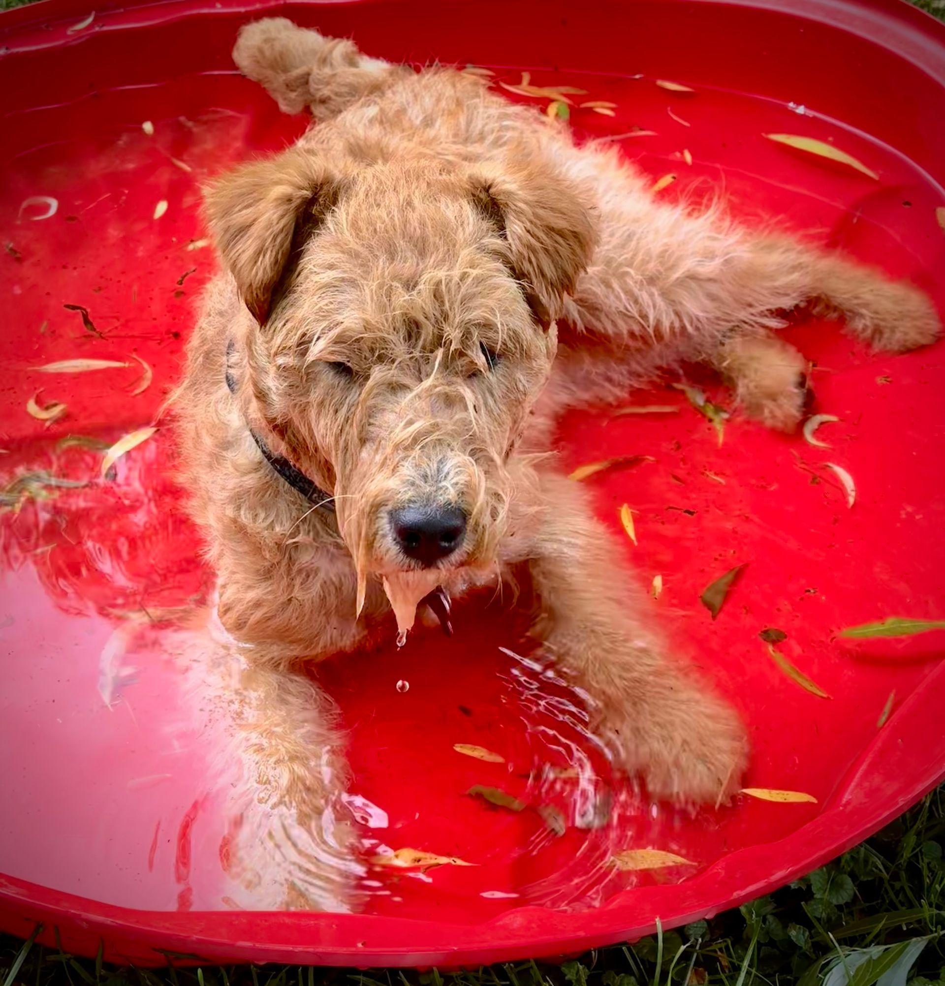Swimming