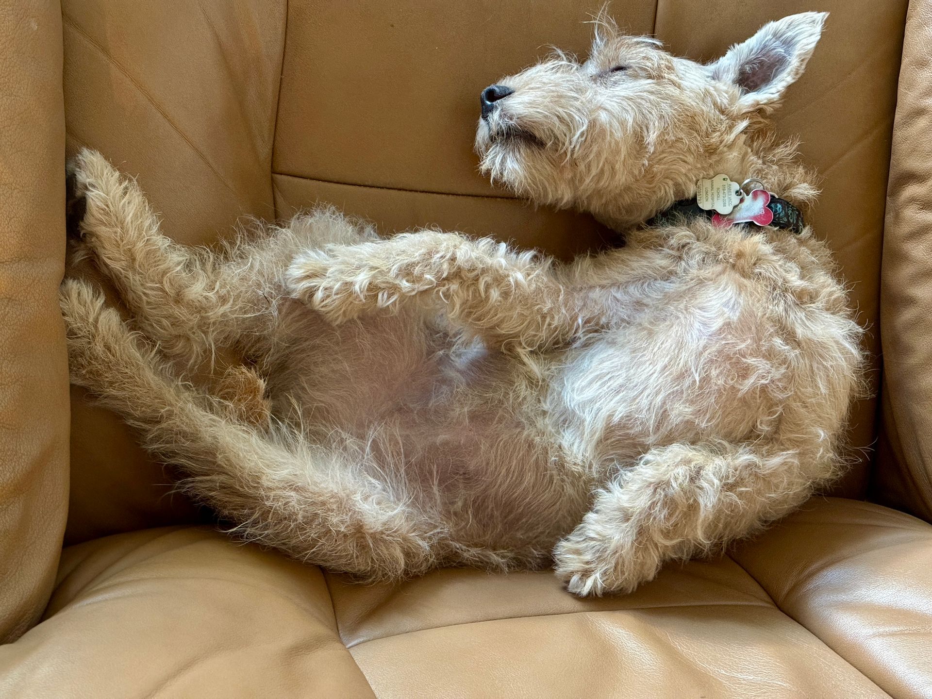 Sleeping