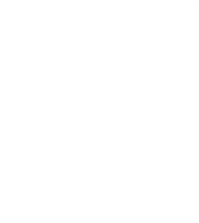 Empty white background.