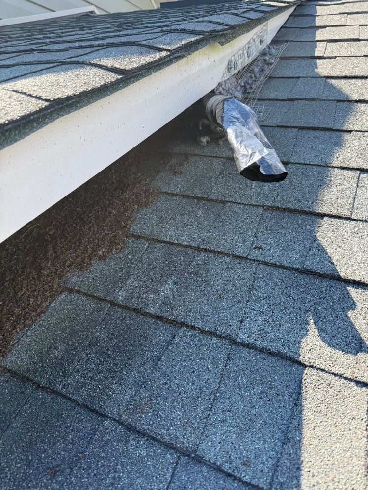 Roof shingles with a loose plastic vent cover near the edge