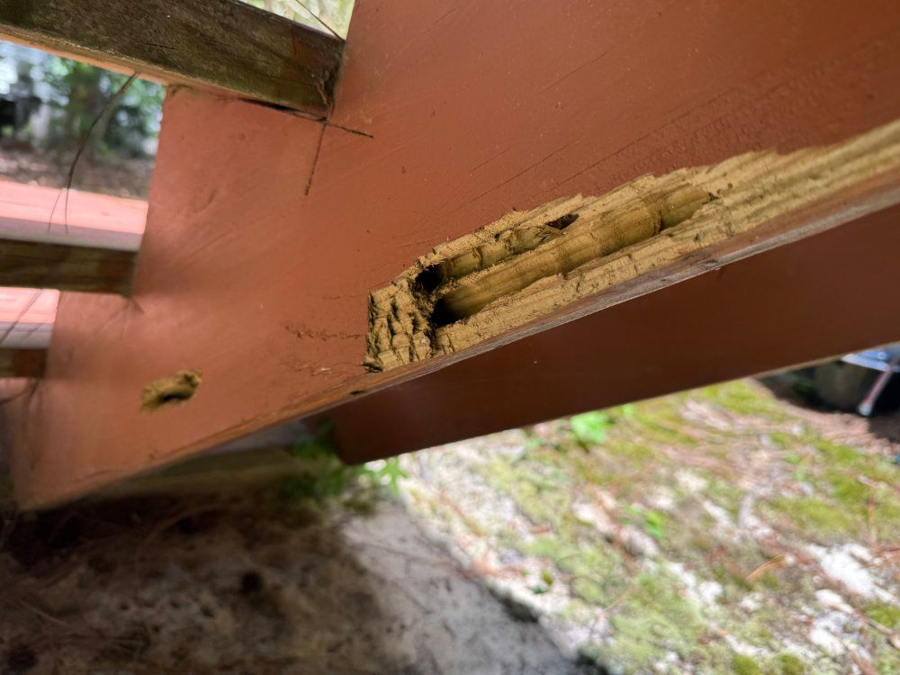 Close-up of a damaged wooden beam with a termite tunnel and debris under an outdoor structure