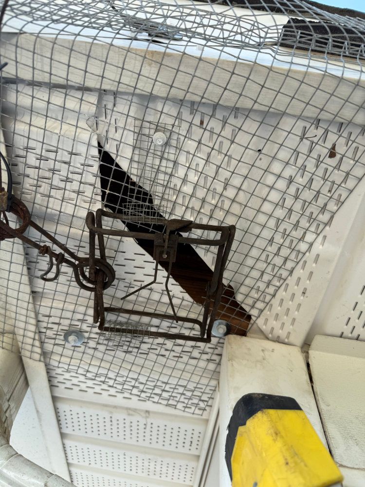 Tangled black netting over a metal gate or railing beside a white wall and yellow-black curb block