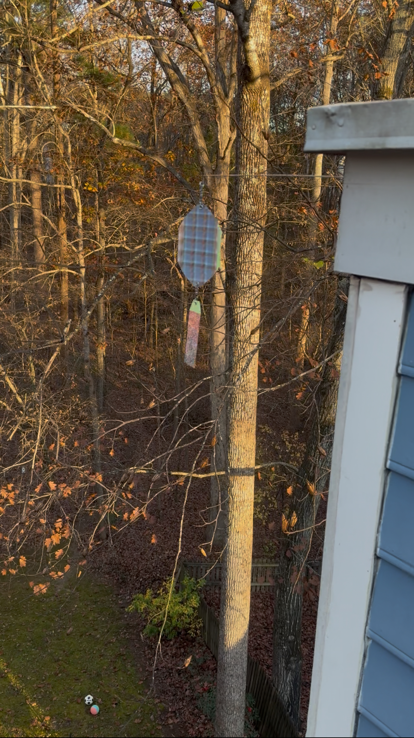 Small gray bird feeder hanging from a tree beside a house, with autumn woods in the background.