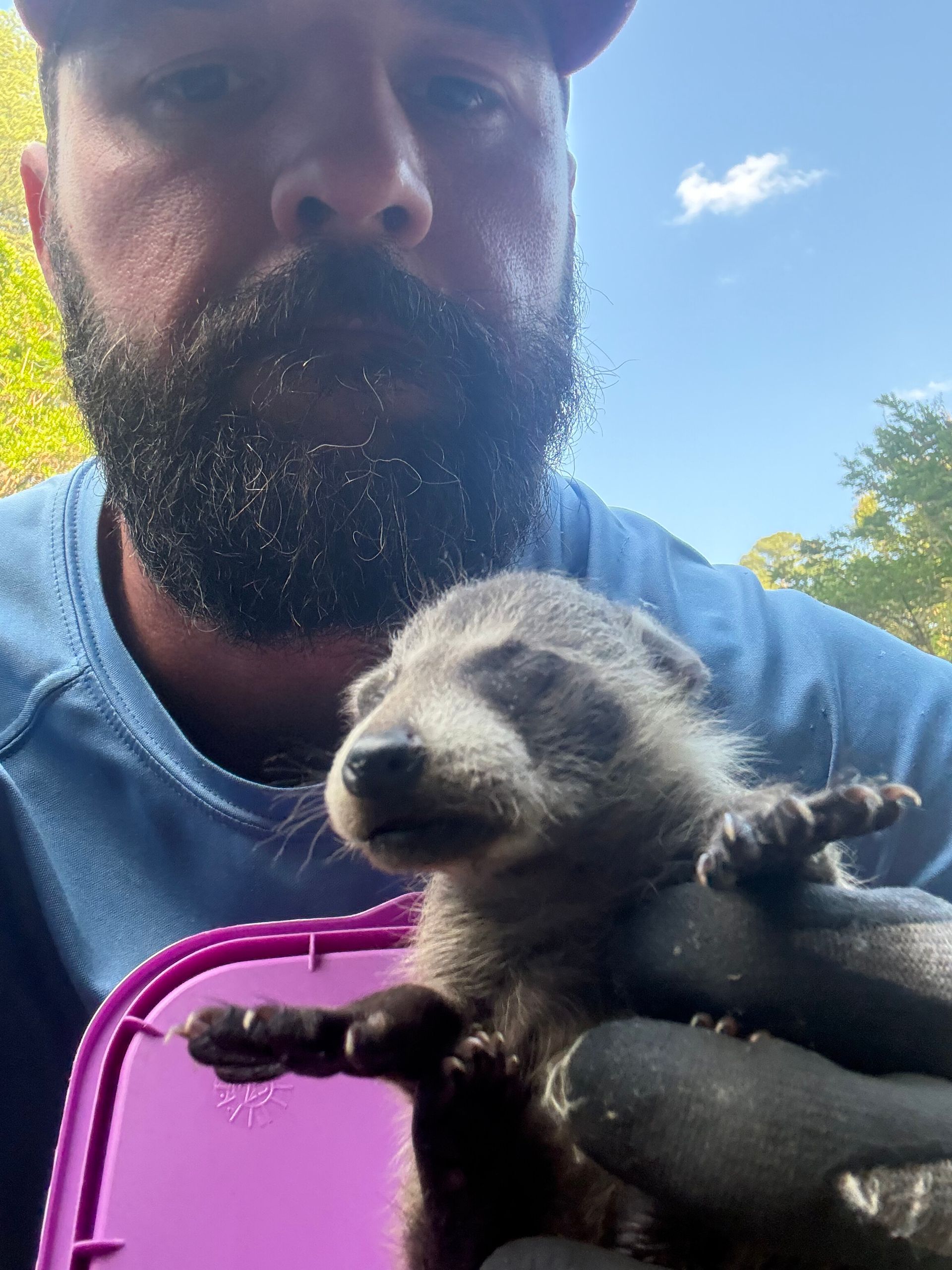 Man holding a baby raccoon outdoors, with blue sky and trees in the background