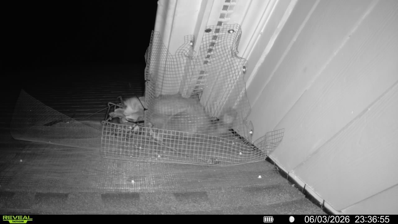 Black-and-white security camera view of a narrow hallway with a cage floor and a person near the far end