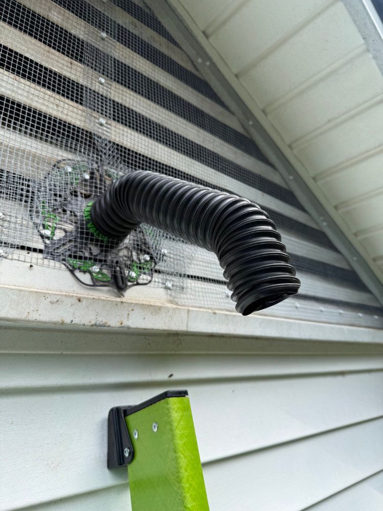 Black flexible vent hose connected to a mesh-covered exterior wall vent above green siding
