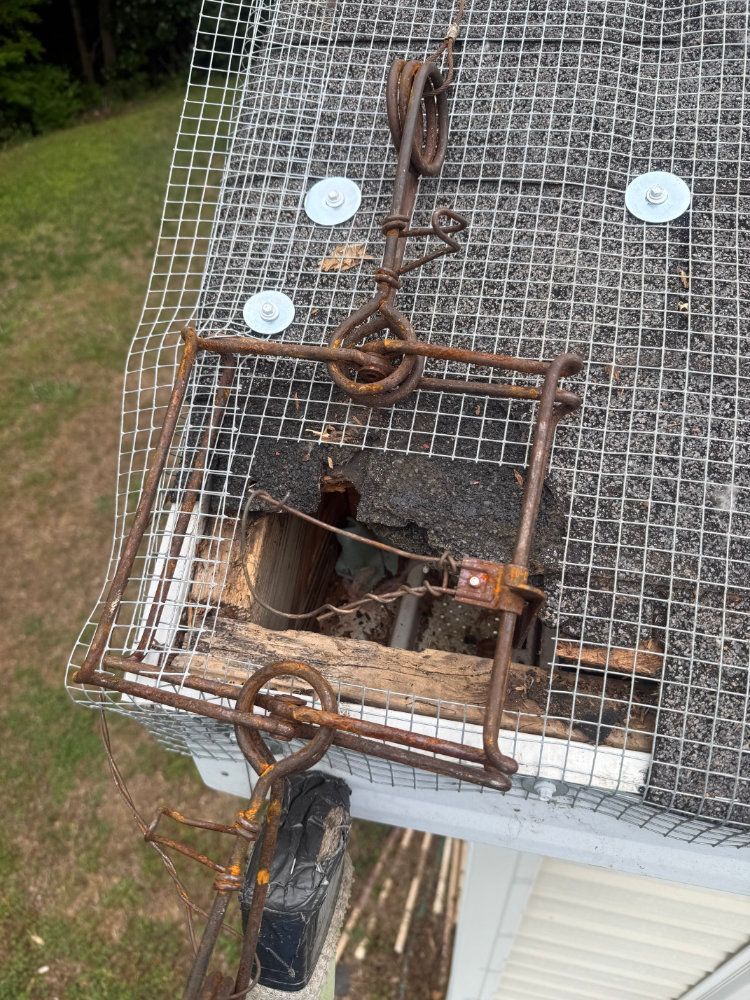 Rusty metal cage trap on a white roof, with a large hole and wire mesh cover.