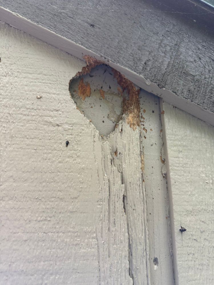Rusty damaged trim and peeling paint on an exterior wall under the roofline