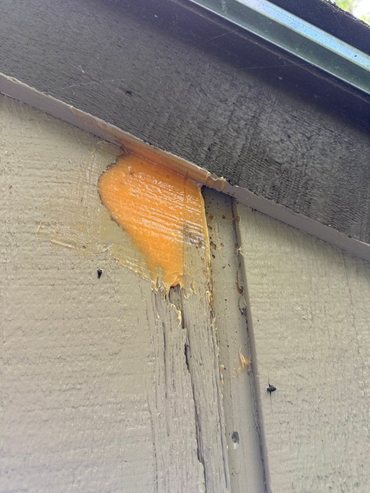 Orange caulk or foam filling a gap beneath a dark roof edge on a beige wall