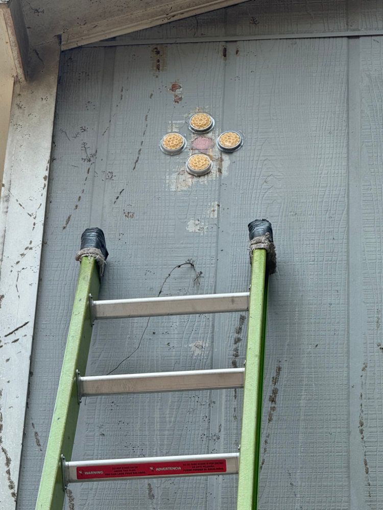 Green ladder against gray wall beneath a small flower-shaped decoration with yellow centers