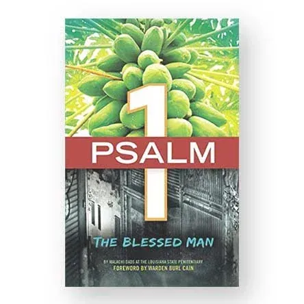 Book cover for 