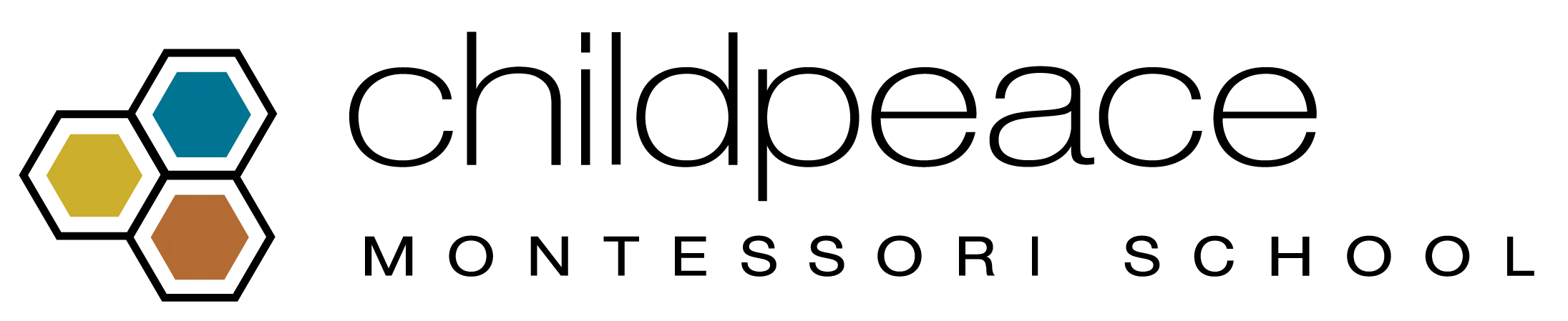 Seton Montessori Institute