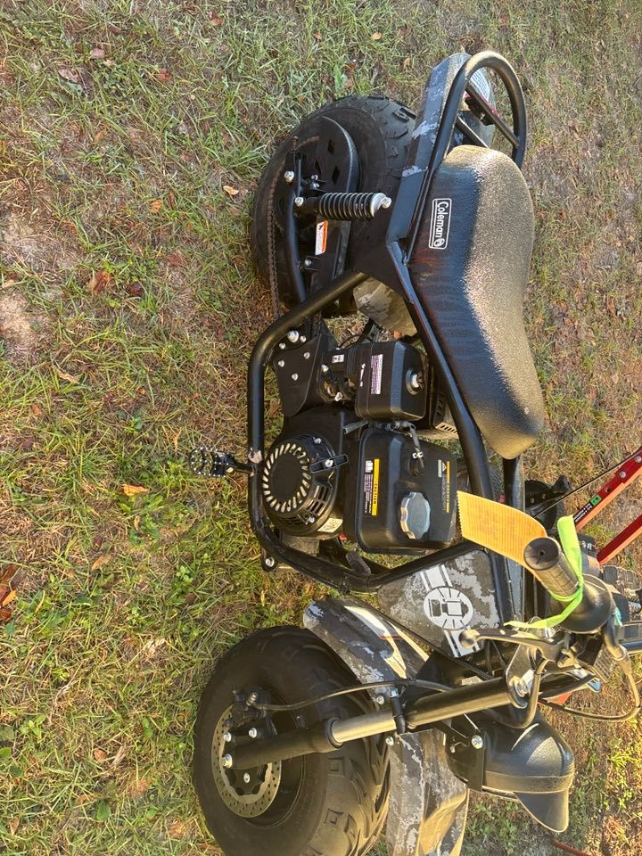 Black mini-bike with fat tires on grass. The bike has a black frame, black engine, and a skull decal.