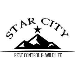 Star City Pest Control & Wildlife