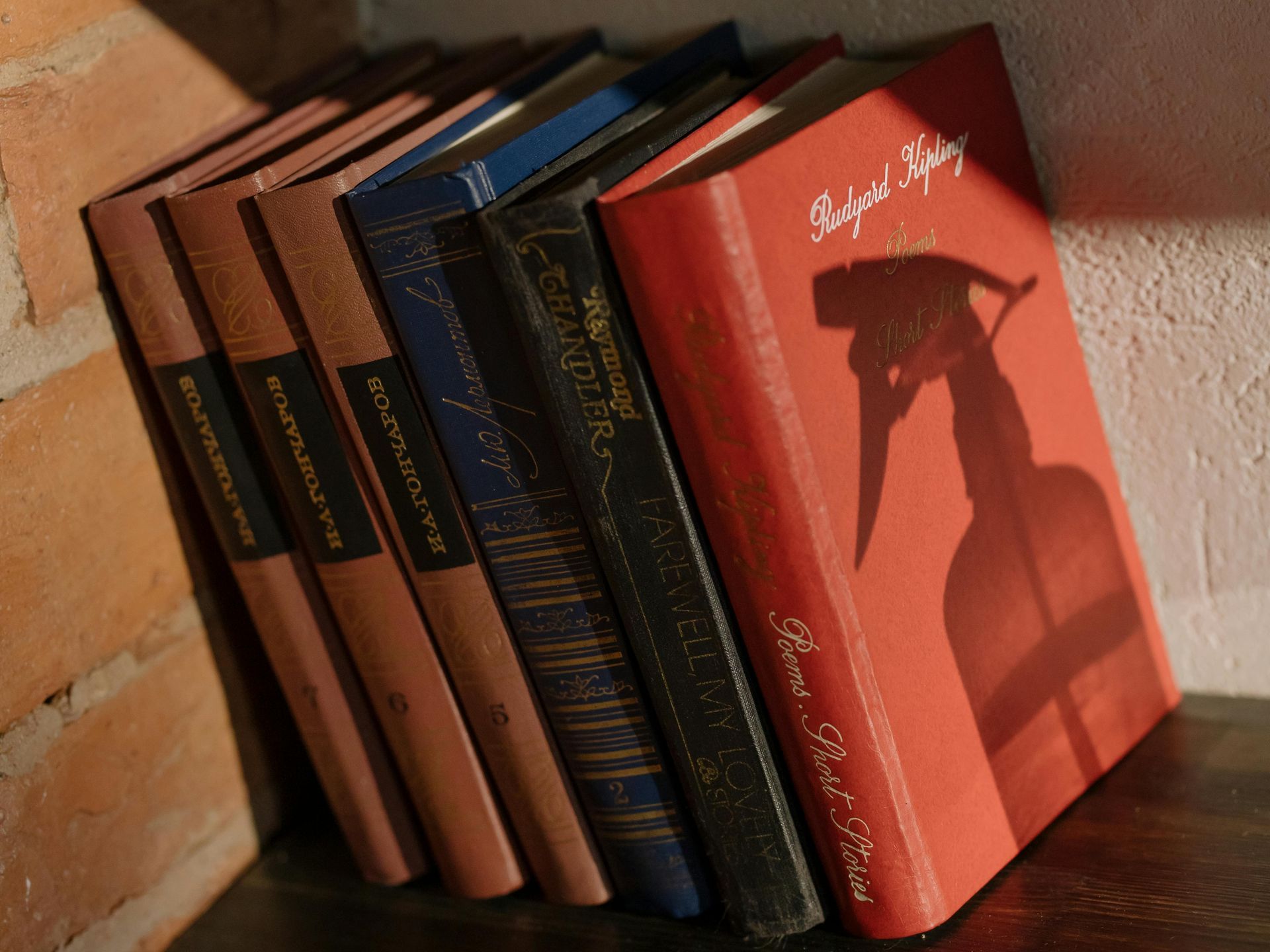 Libri appoggiati a un muro di mattoni. È visibile un libro rosso con l'ombra di una bomboletta spray.