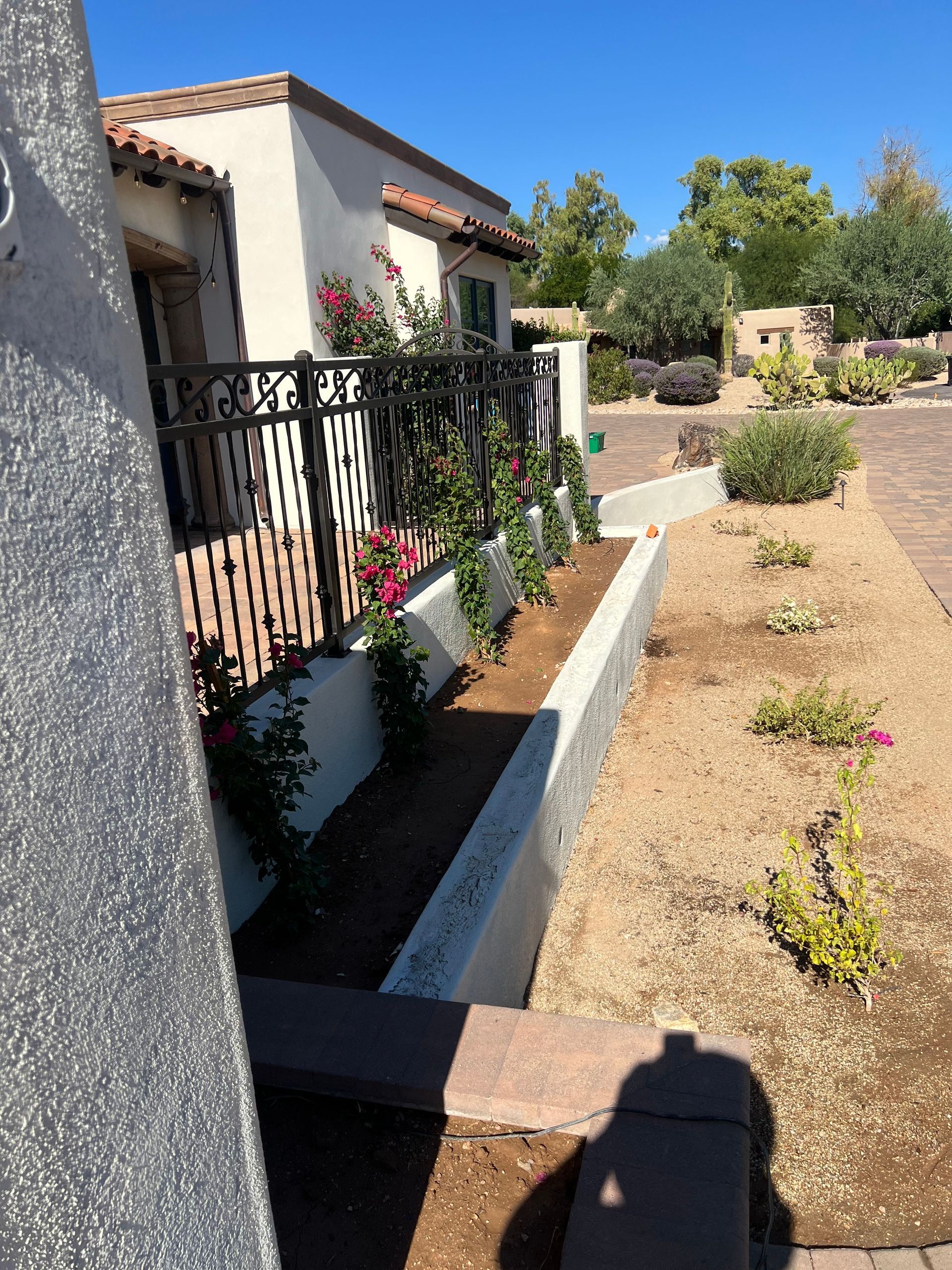 Sunlit courtyard path beside a stucco house, with black railing, potted flowers, and desert landscaping.